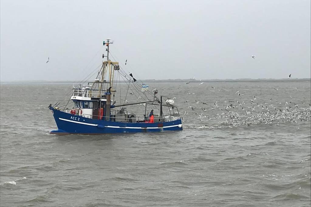 Nordsee Ferienwohnung Fuer 2 Personen 西里格 外观 照片